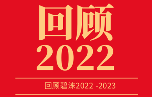 回顧碧淶2022， 展望未來